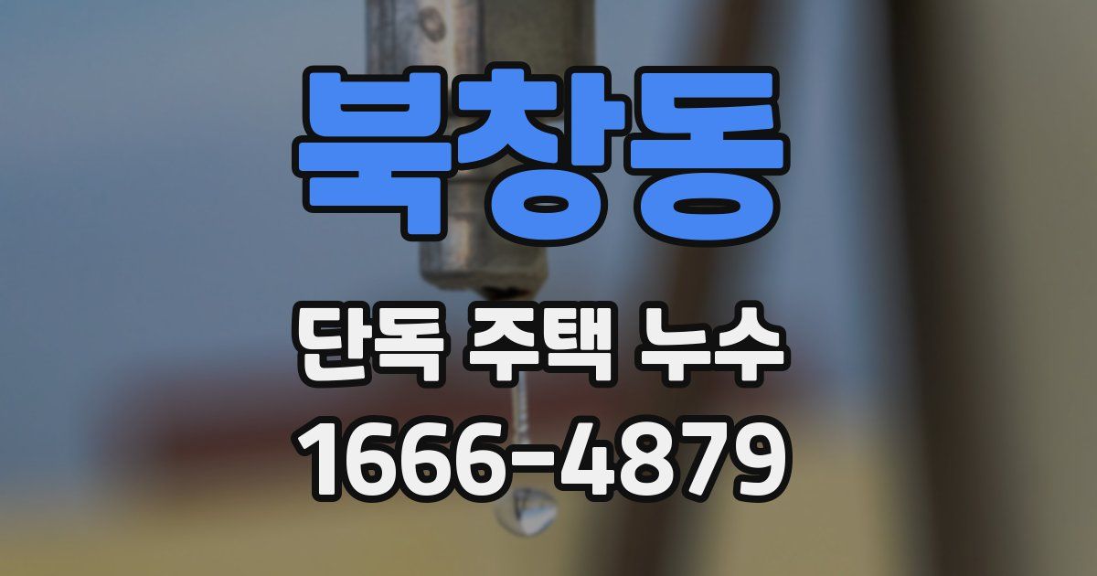 북창동 단독 주택 누수