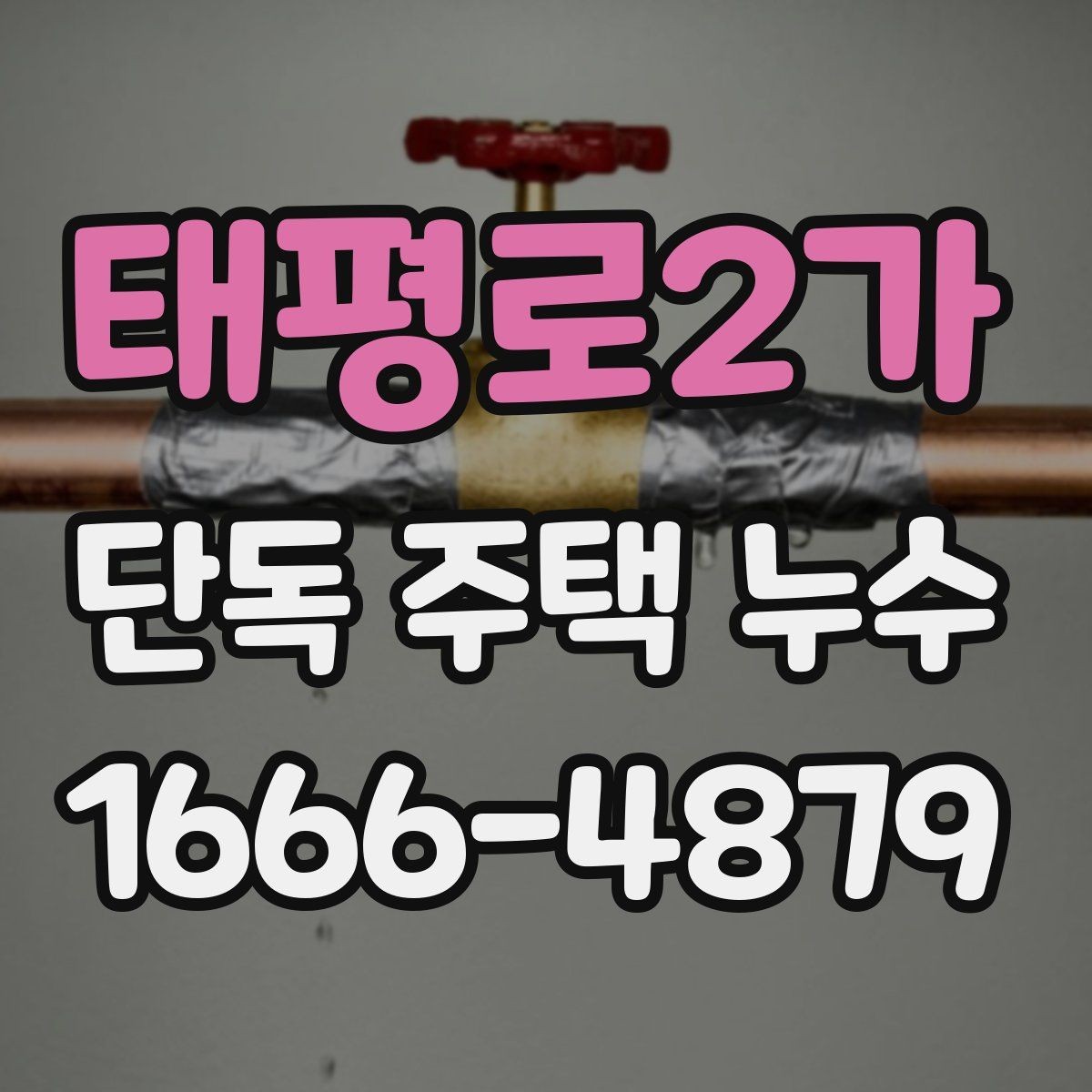 태평로2가 단독 주택 누수 원인과 점검 순서