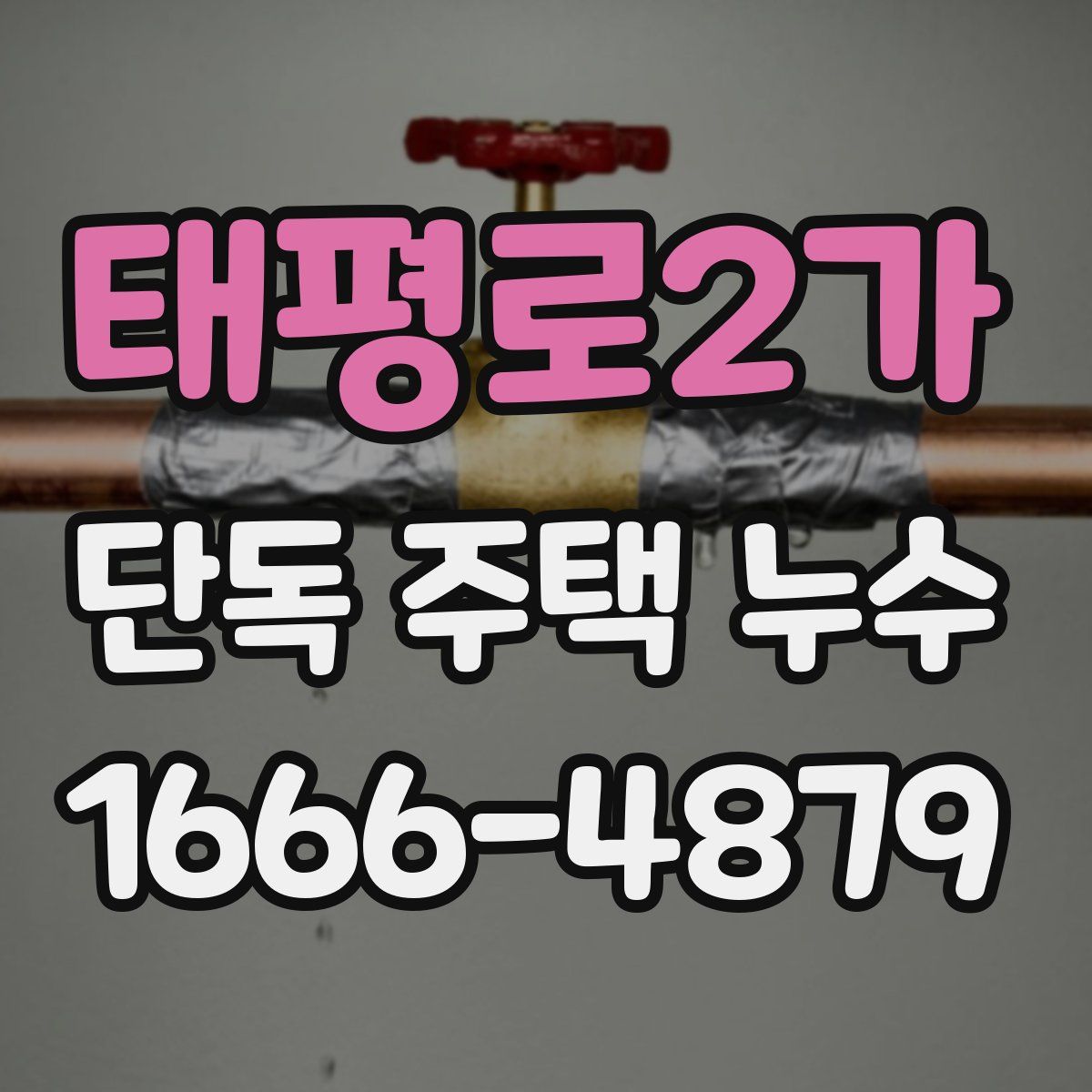 태평로2가 단독 주택 누수