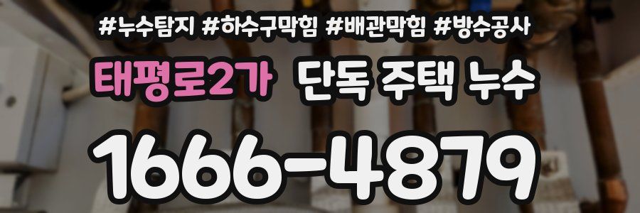 태평로2가 단독 주택 누수