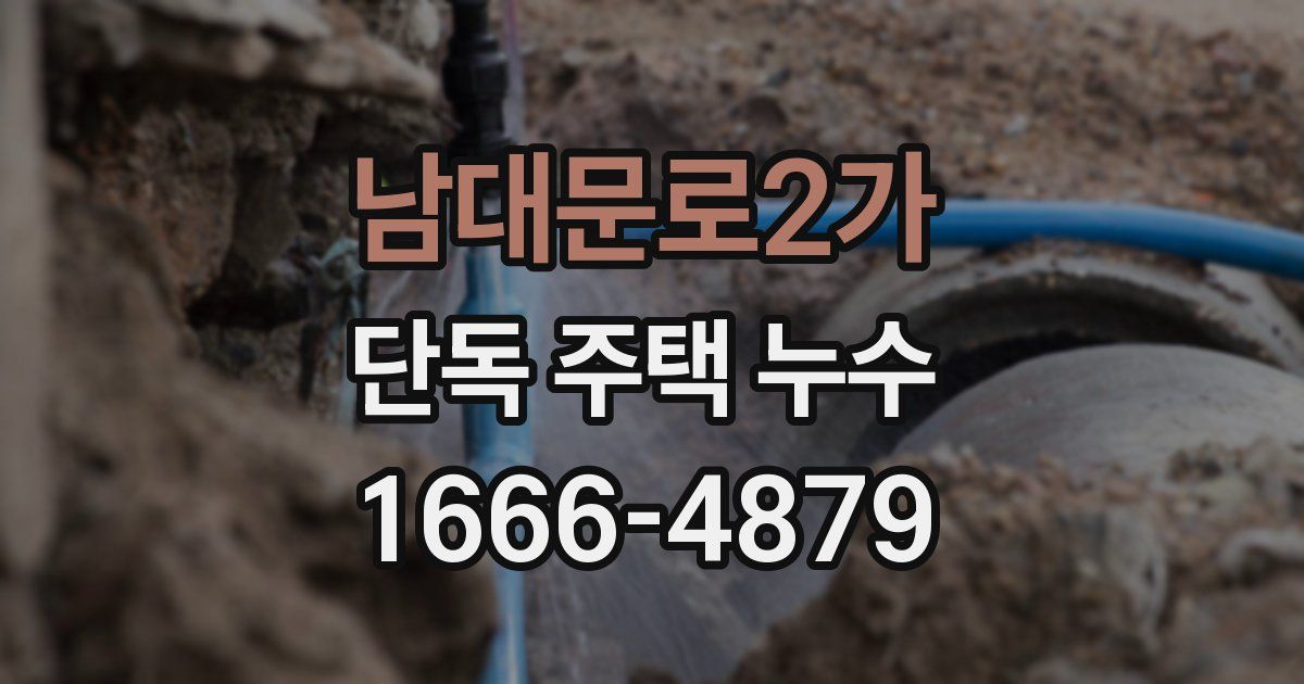 남대문로2가 단독 주택 누수