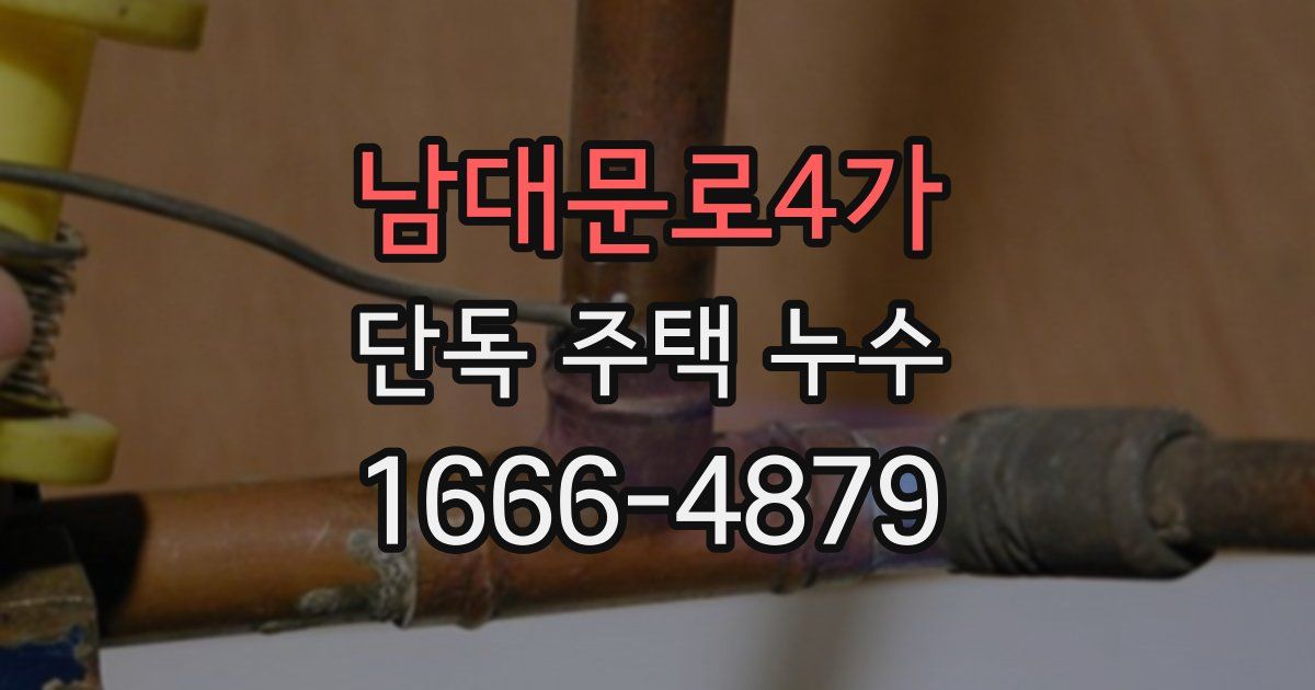 남대문로4가 단독 주택 누수