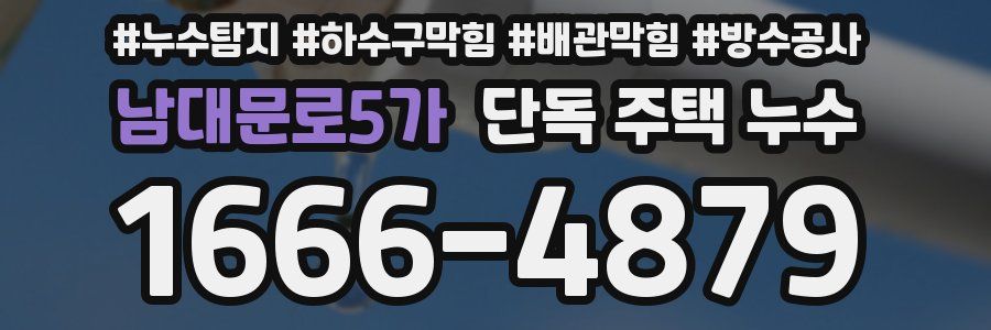 남대문로5가 단독 주택 누수