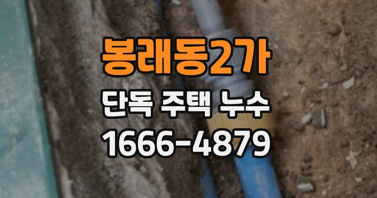 봉래동2가 단독 주택 누수