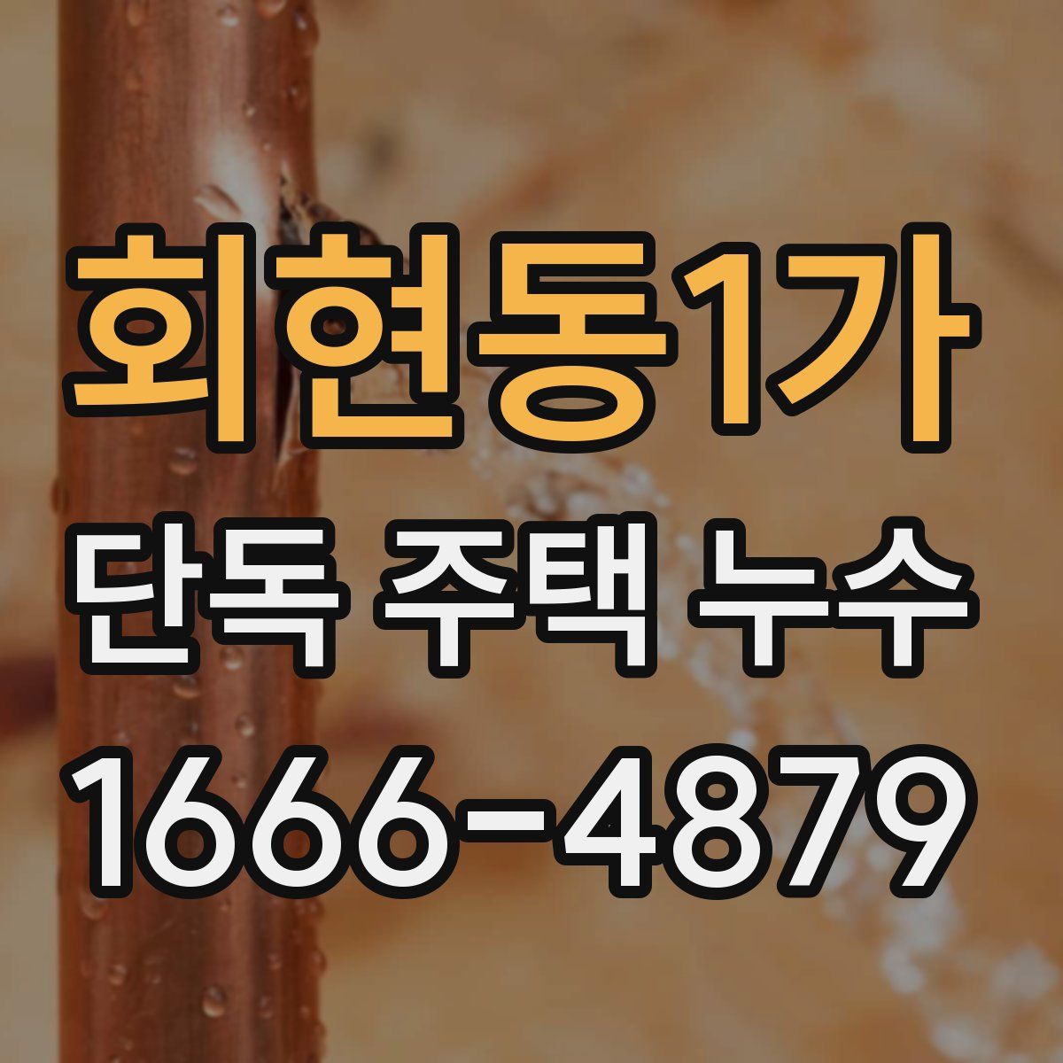회현동1가 단독 주택 누수