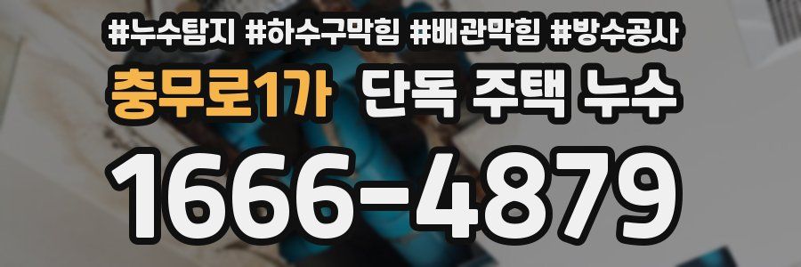 충무로1가 단독 주택 누수