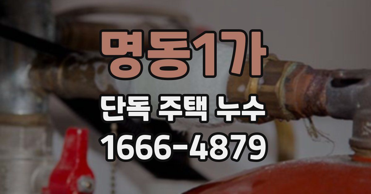 명동1가 단독 주택 누수