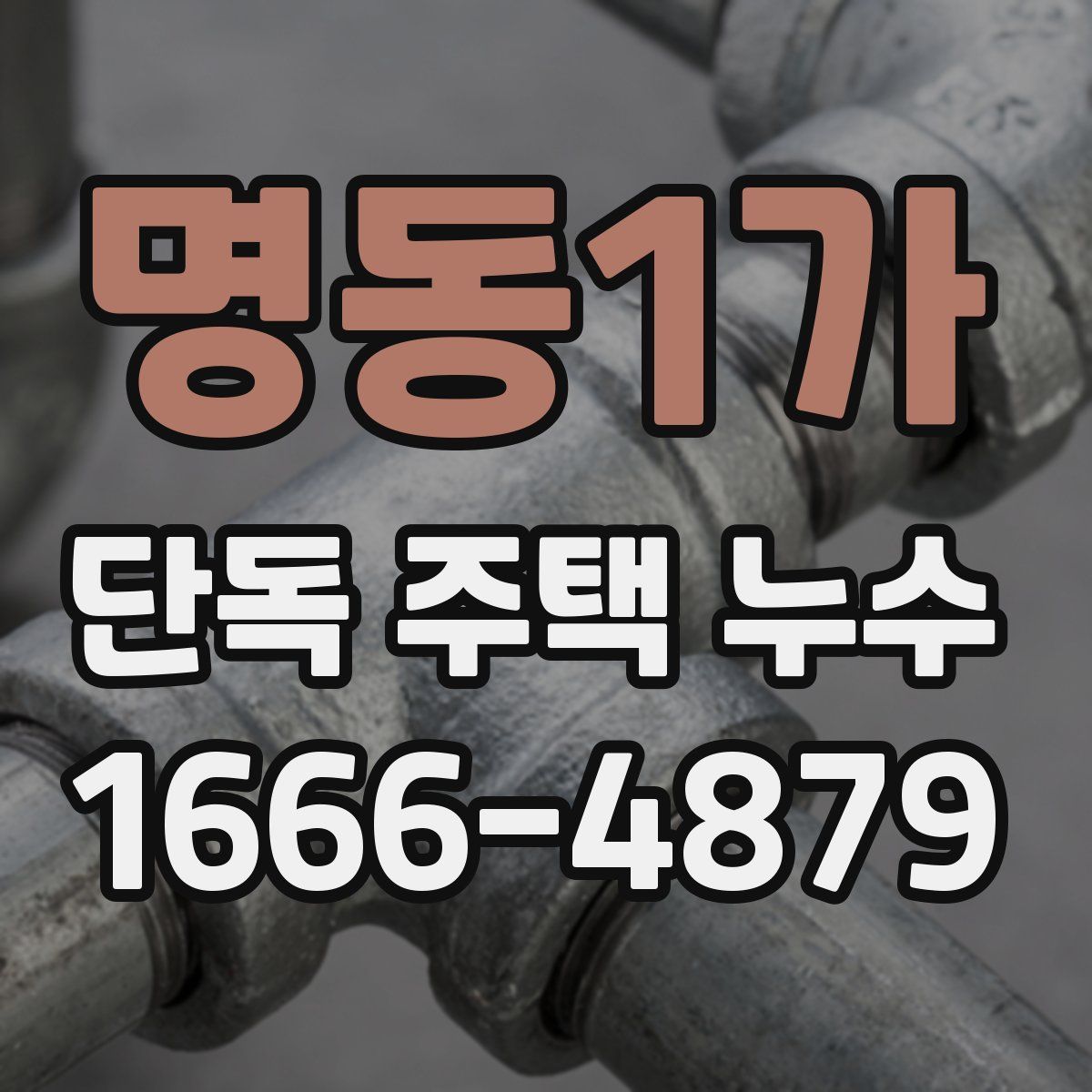 명동1가 단독 주택 누수