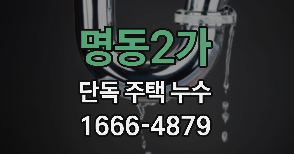 명동2가 단독 주택 누수