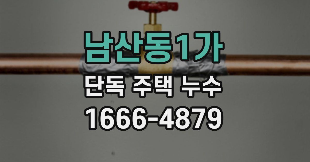 남산동1가 단독 주택 누수