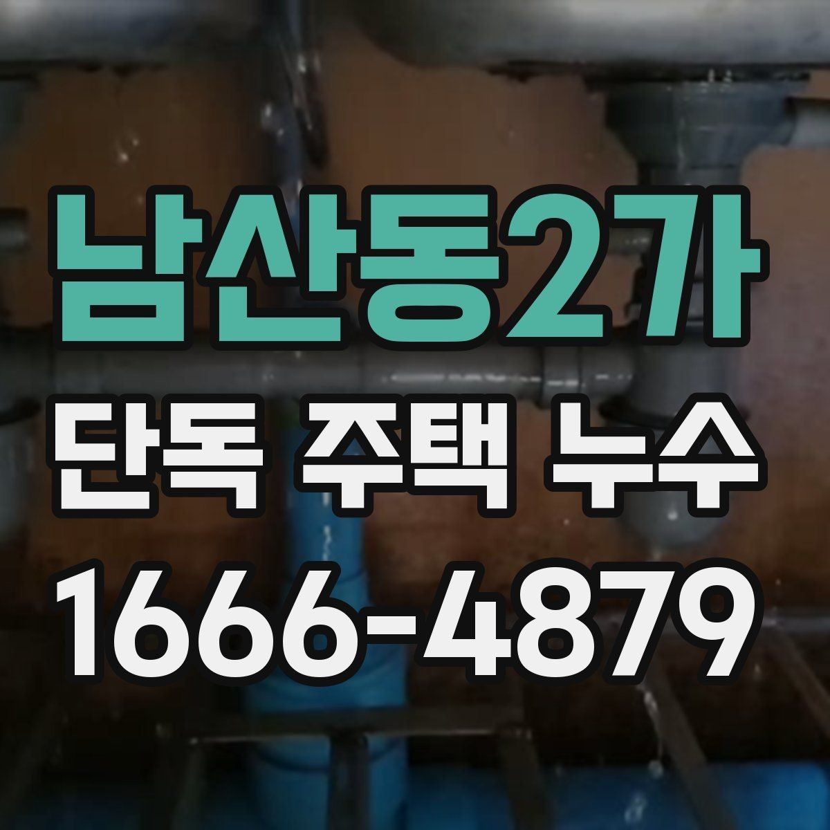 남산동2가 단독 주택 누수 원인이 천장일 때 확인법