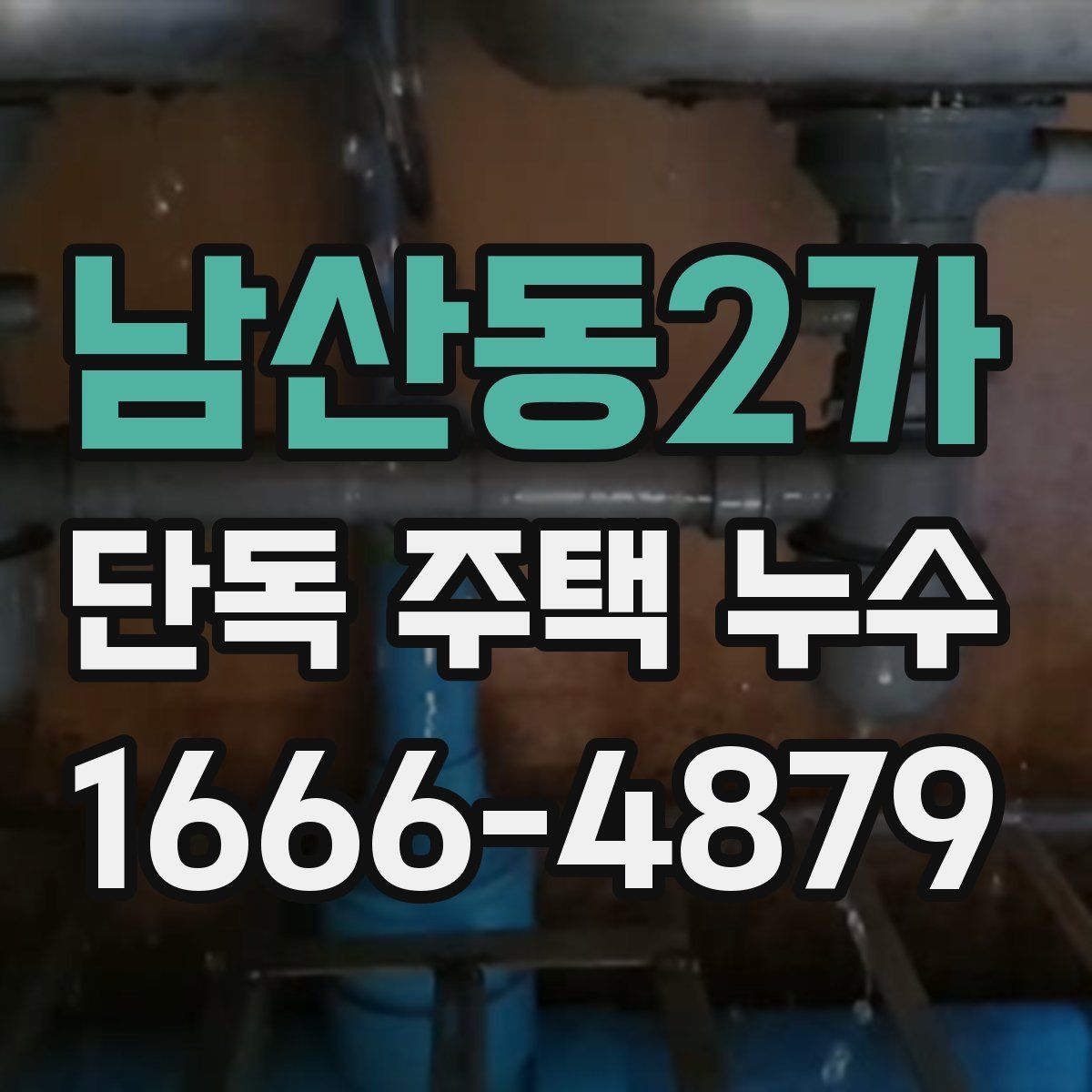 남산동2가 단독 주택 누수