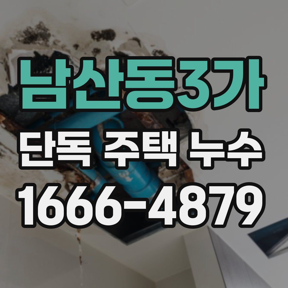 남산동3가 단독 주택 누수
