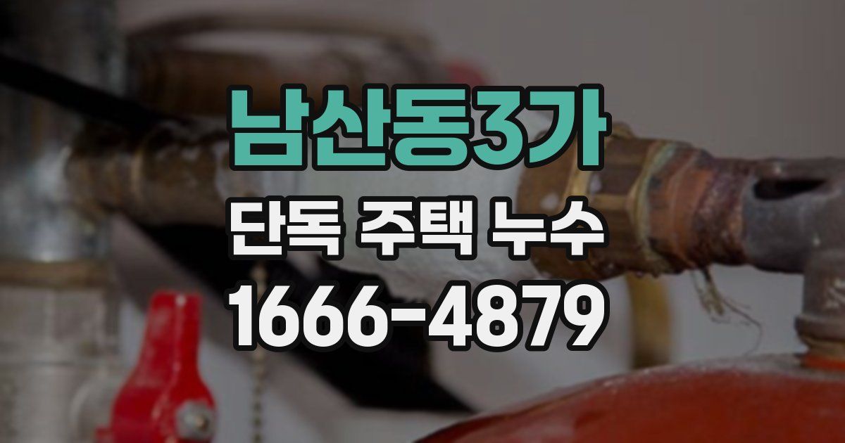 남산동3가 단독 주택 누수
