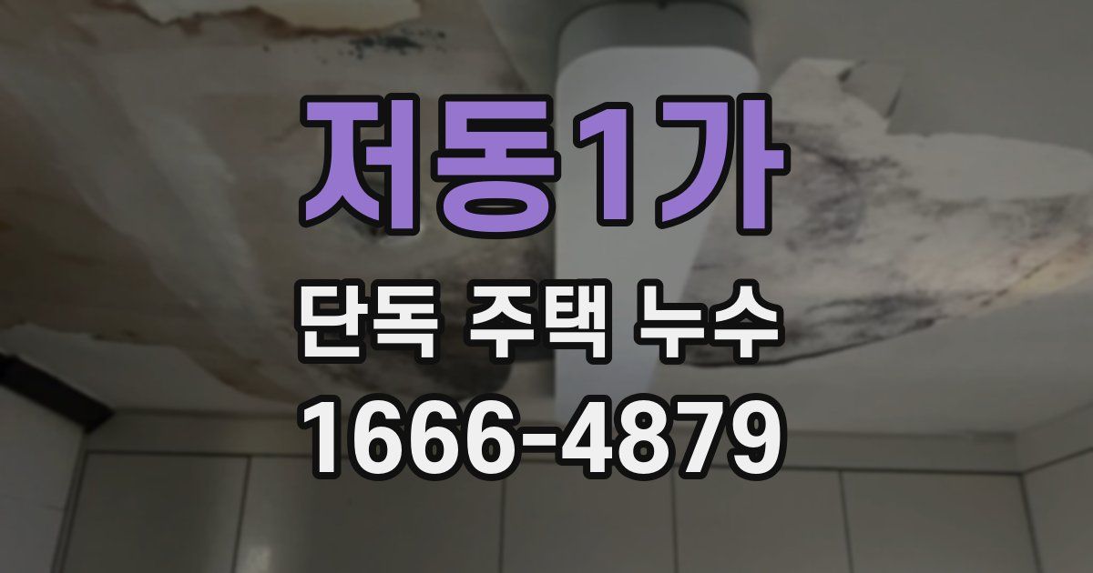 저동1가 단독 주택 누수