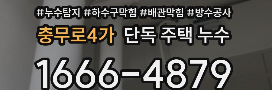 충무로4가 단독 주택 누수
