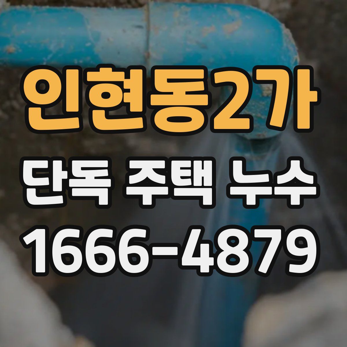 인현동2가 단독 주택 누수