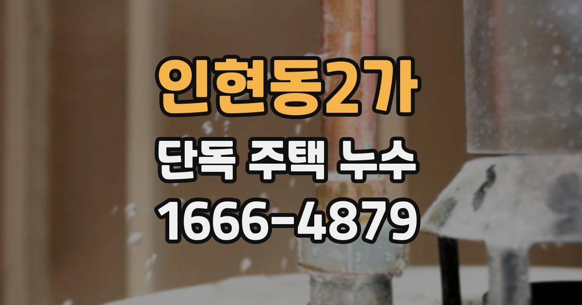 인현동2가 단독 주택 누수