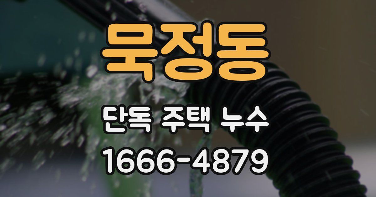 묵정동 단독 주택 누수