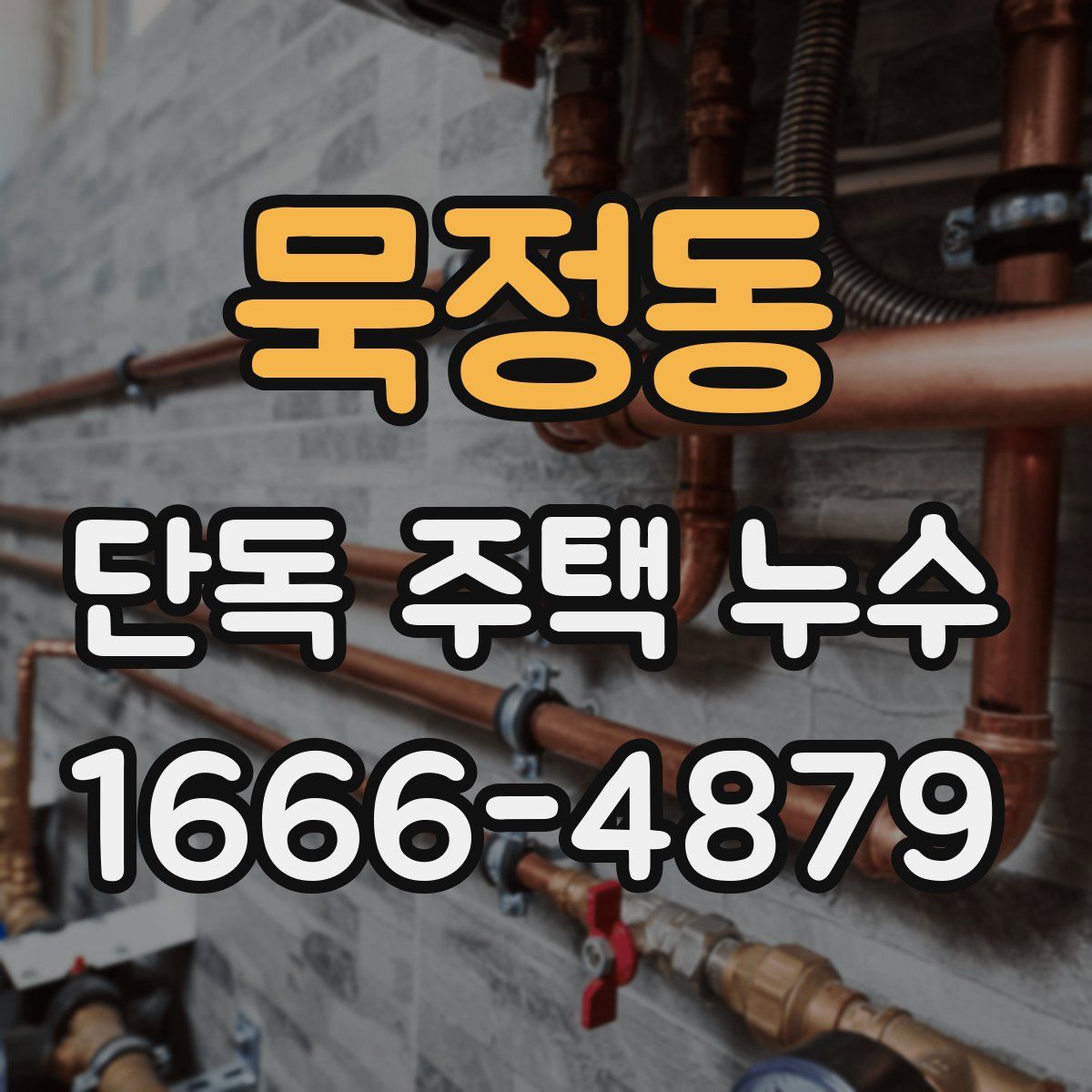 묵정동 단독 주택 누수