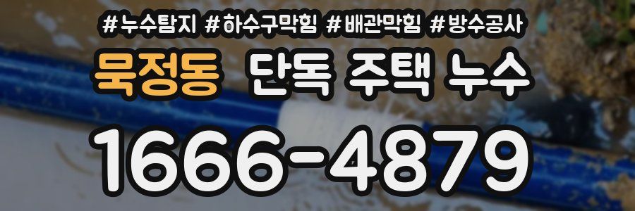 묵정동 단독 주택 누수