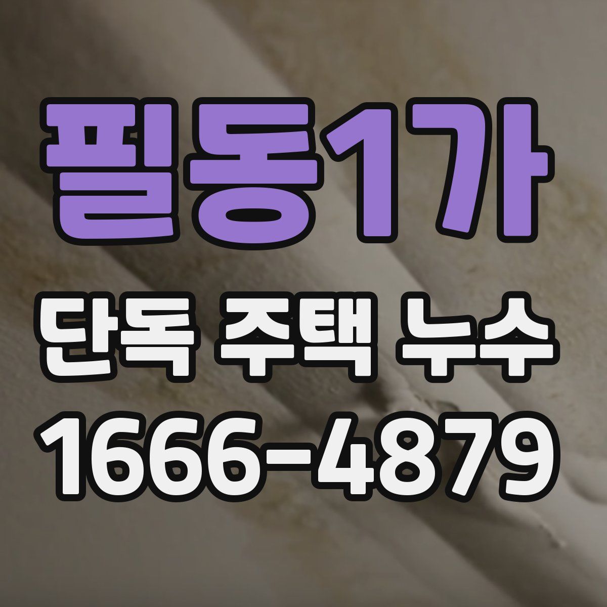 필동1가 단독 주택 누수