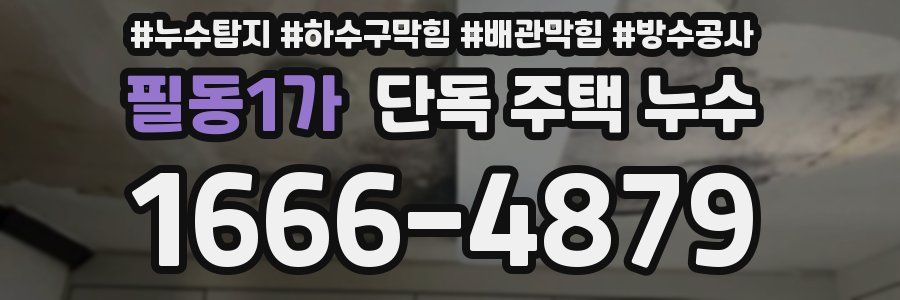 필동1가 단독 주택 누수