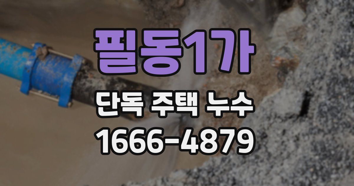 필동1가 단독 주택 누수