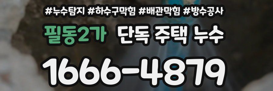 필동2가 단독 주택 누수