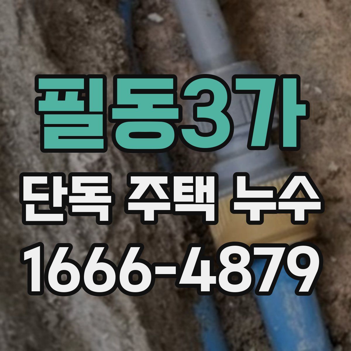 필동3가 단독 주택 누수