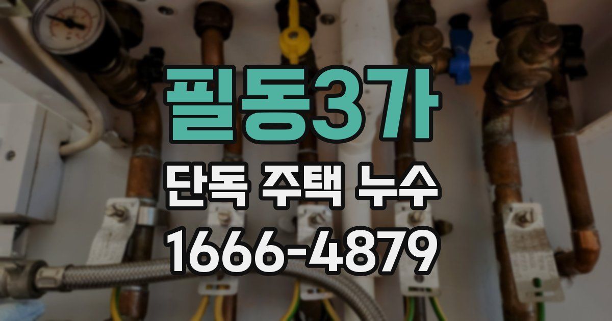 필동3가 단독 주택 누수