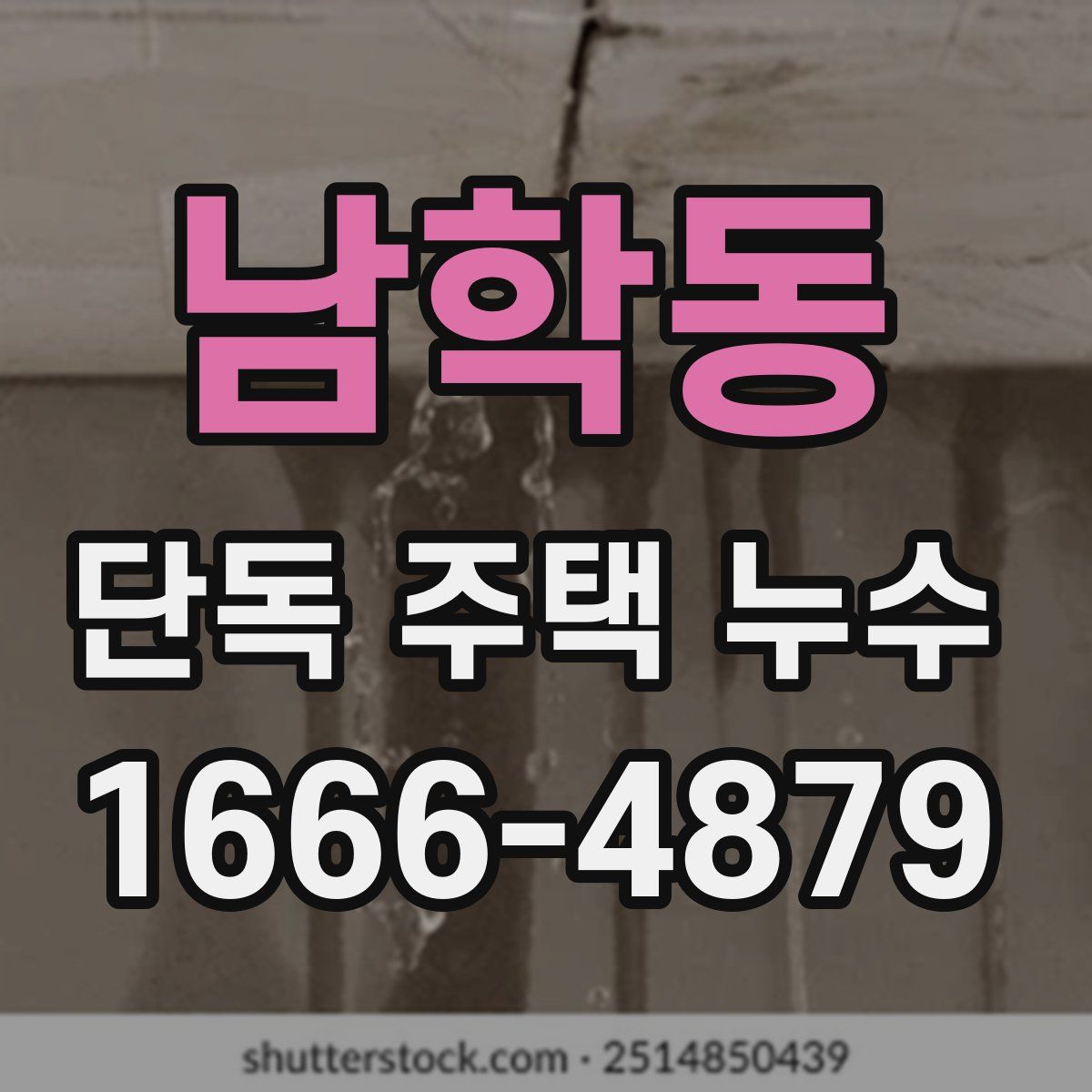 남학동 단독 주택 누수