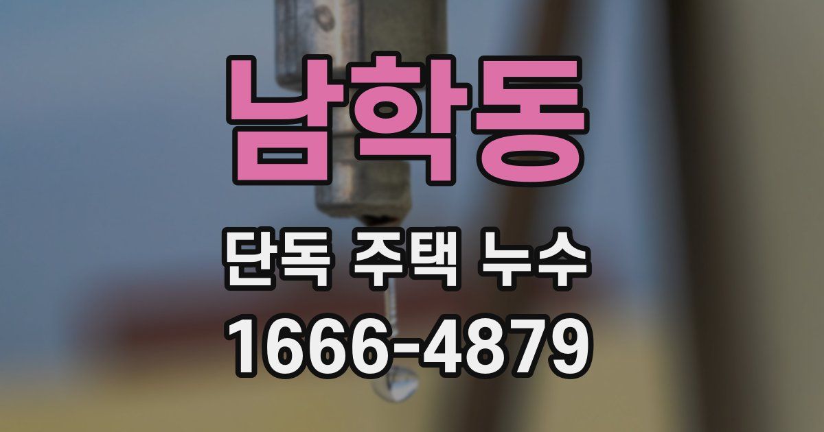 남학동 단독 주택 누수