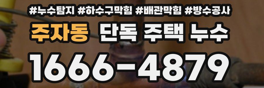 주자동 단독 주택 누수
