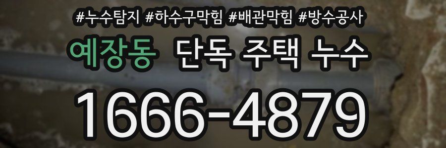 예장동 단독 주택 누수