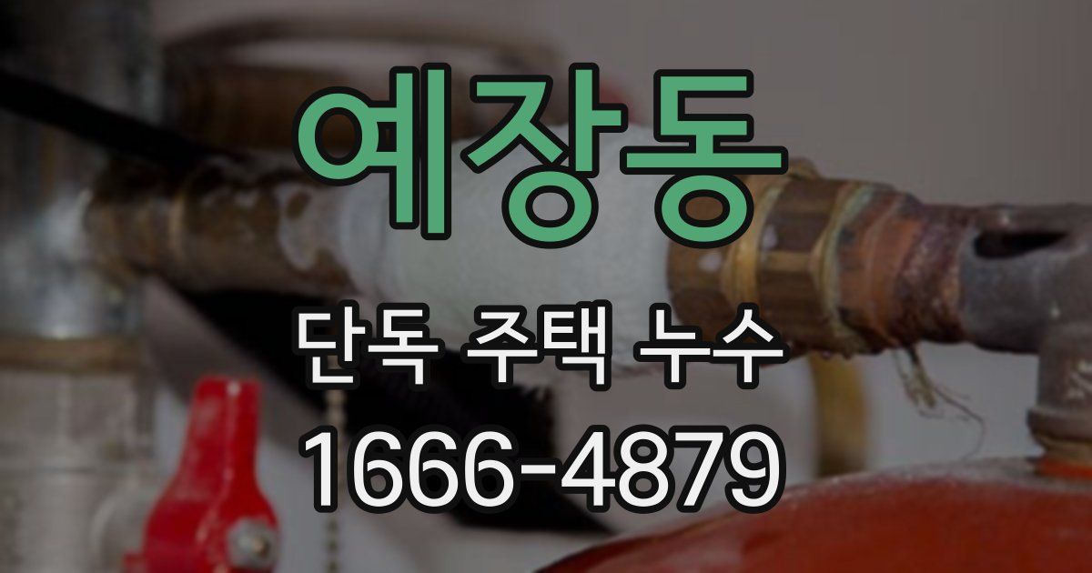 예장동 단독 주택 누수