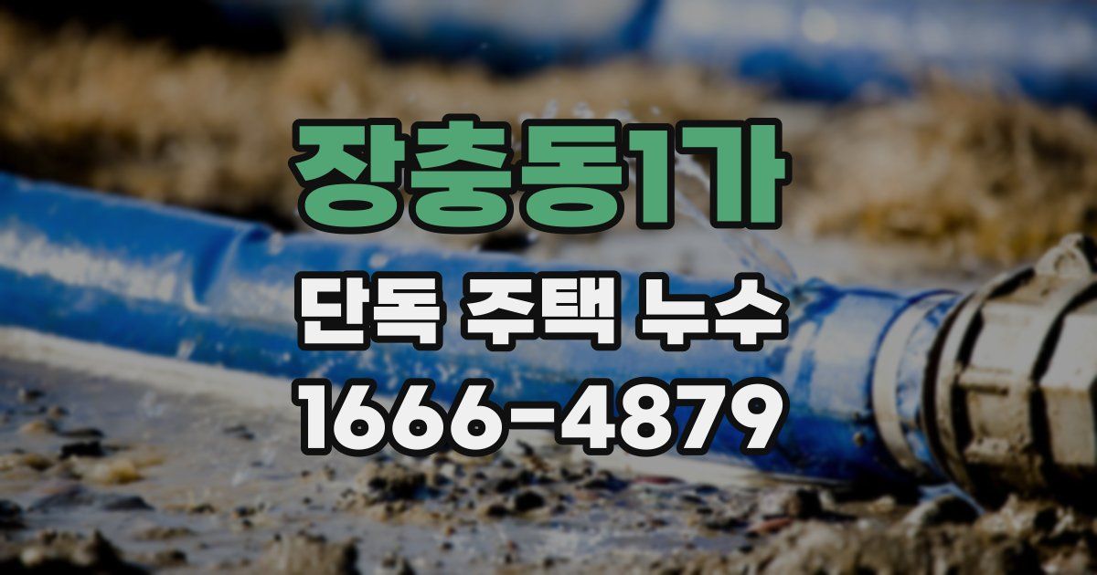 장충동1가 단독 주택 누수