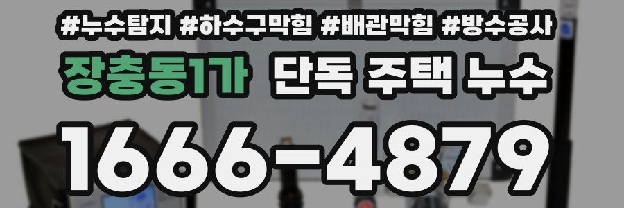 장충동1가 단독 주택 누수
