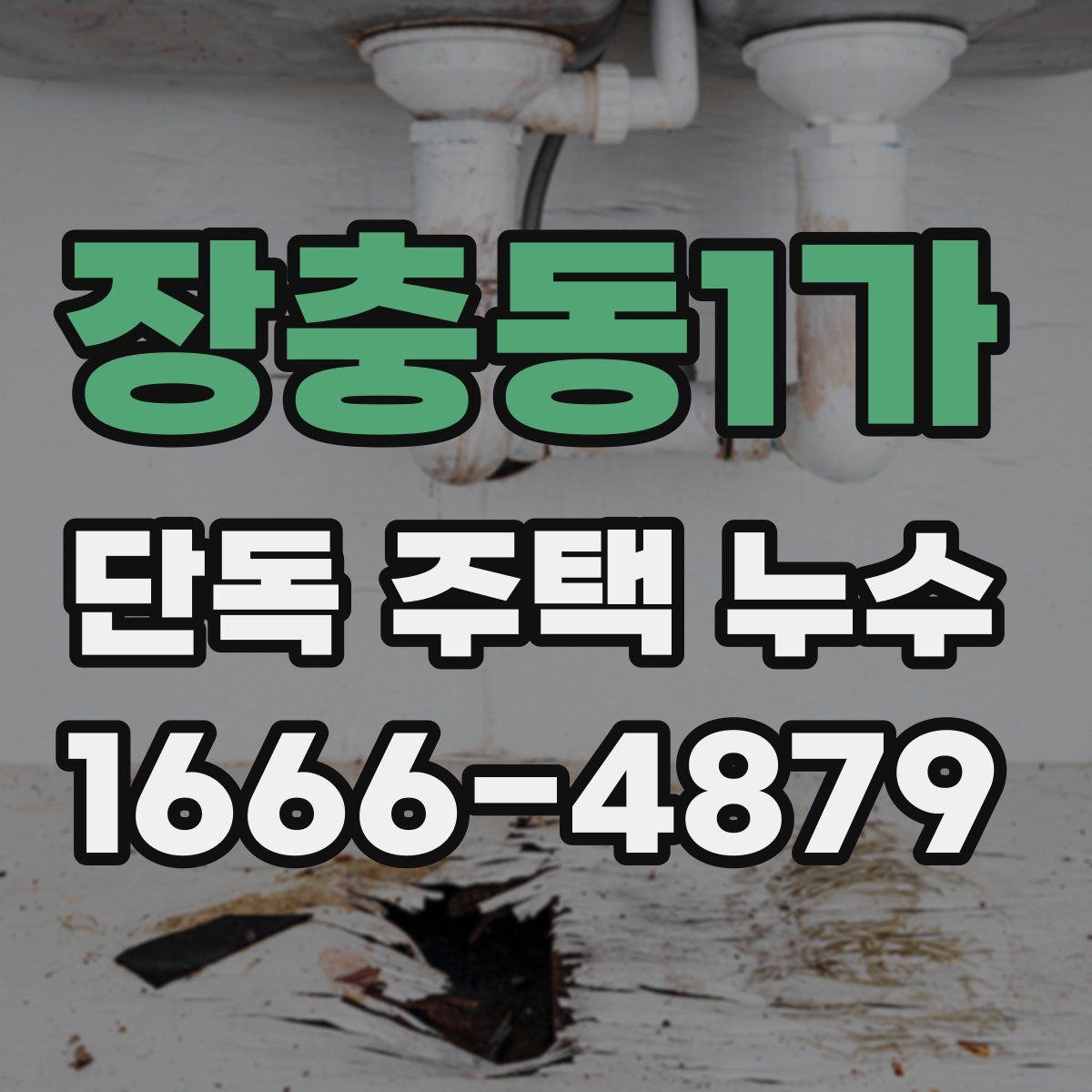장충동1가 단독 주택 누수