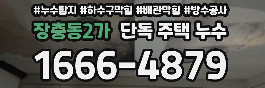 장충동2가 단독 주택 누수