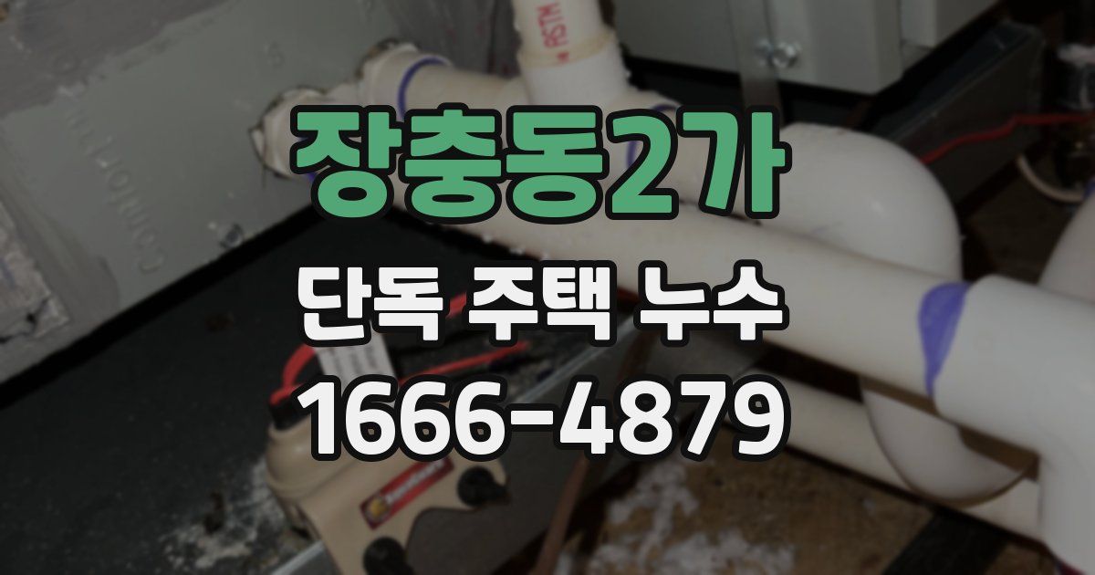 장충동2가 단독 주택 누수