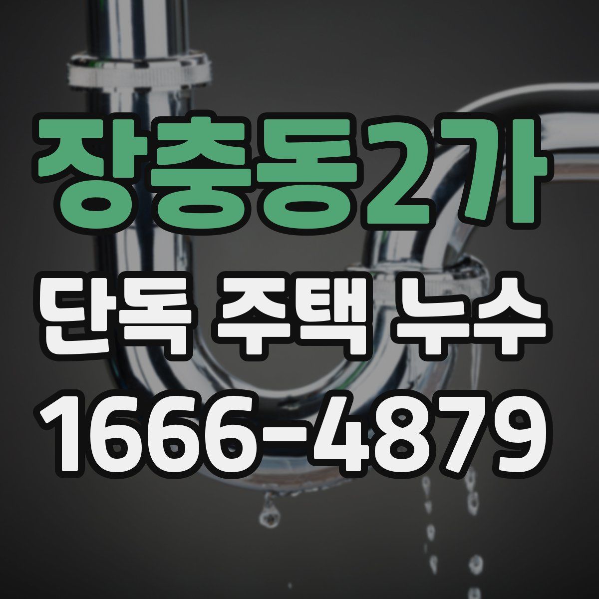 장충동2가 단독 주택 누수