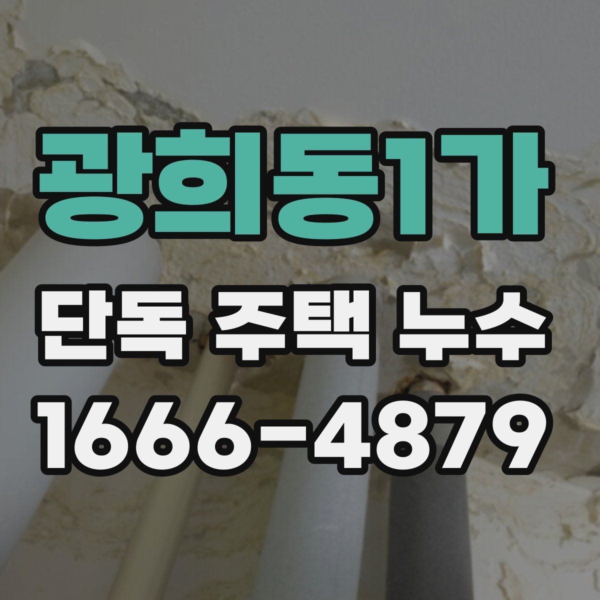 광희동1가 단독 주택 누수 외부 충격과 구조 손상 점검