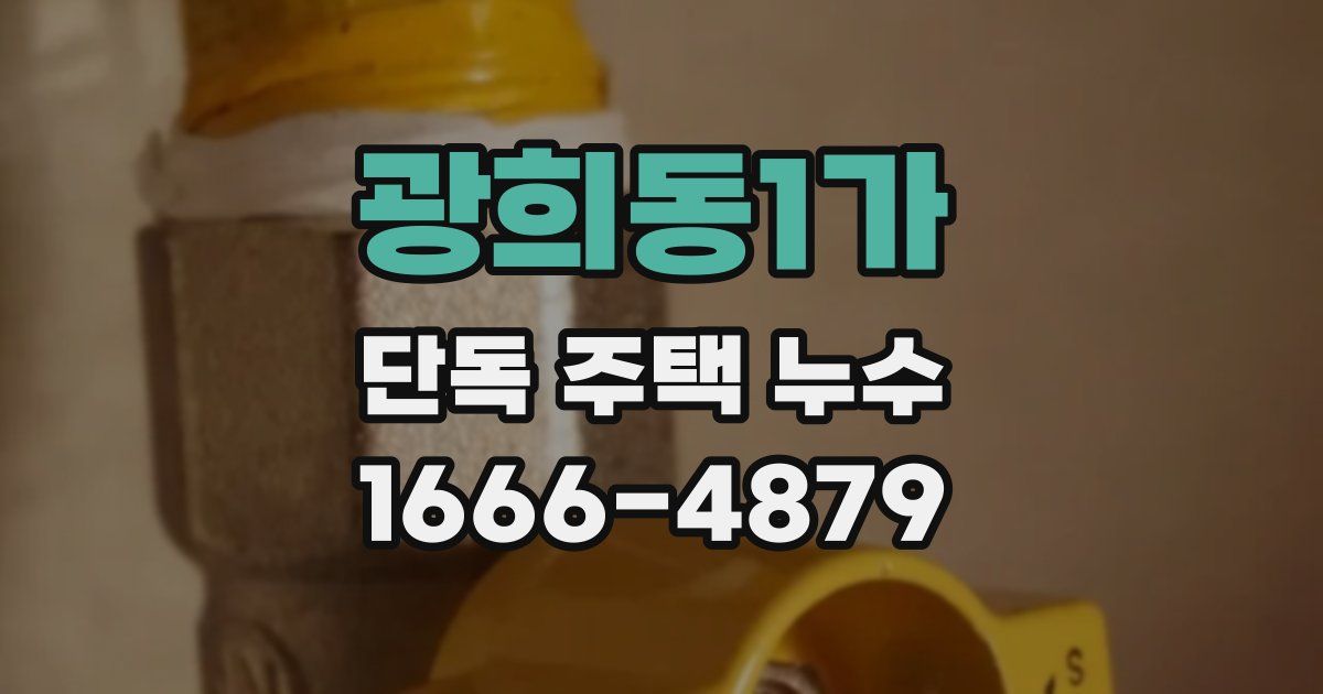 광희동1가 단독 주택 누수