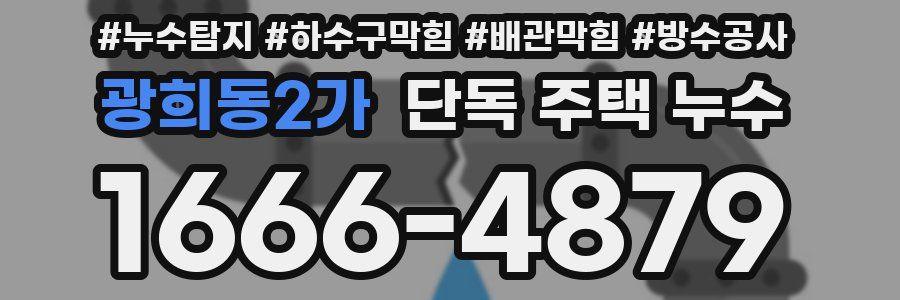 광희동2가 단독 주택 누수