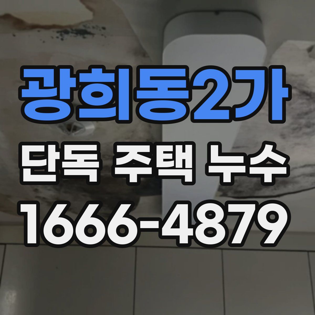 광희동2가 단독 주택 누수