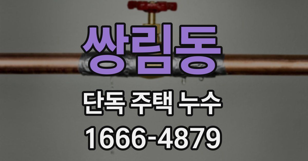 쌍림동 단독 주택 누수