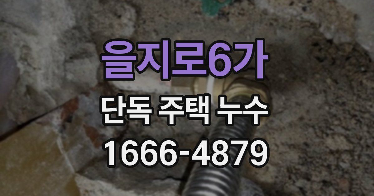 을지로6가 단독 주택 누수