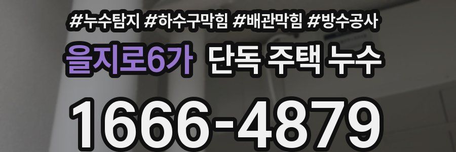 을지로6가 단독 주택 누수