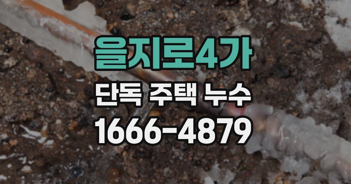 을지로4가 단독 주택 누수